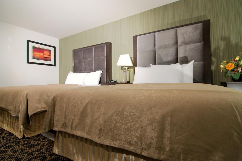 Paradise Inn&Suites Redwater Rom bilde